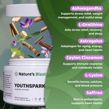 NATURES BLAST YouthSpark – 30 portions pratiques pour utilisation quotidienne.