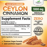 Nature's Choice cannelle de Ceylan capsules – dosage élevé et commodité