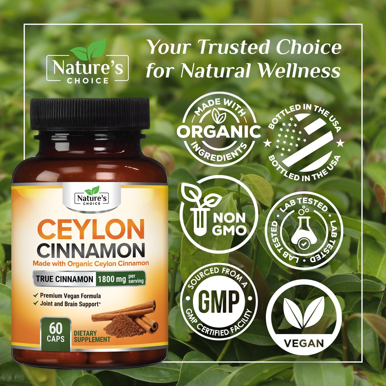 Nature's Choice cannelle de Ceylan origine Sri Lanka – pure et authentique