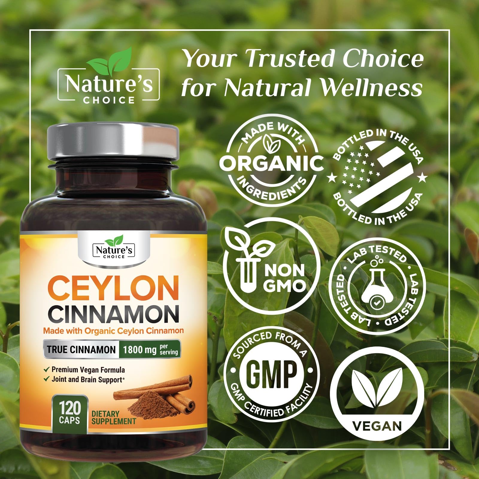 Nature's Choice cannelle Ceylon – capsules à avaler facilement sur plan de travail.