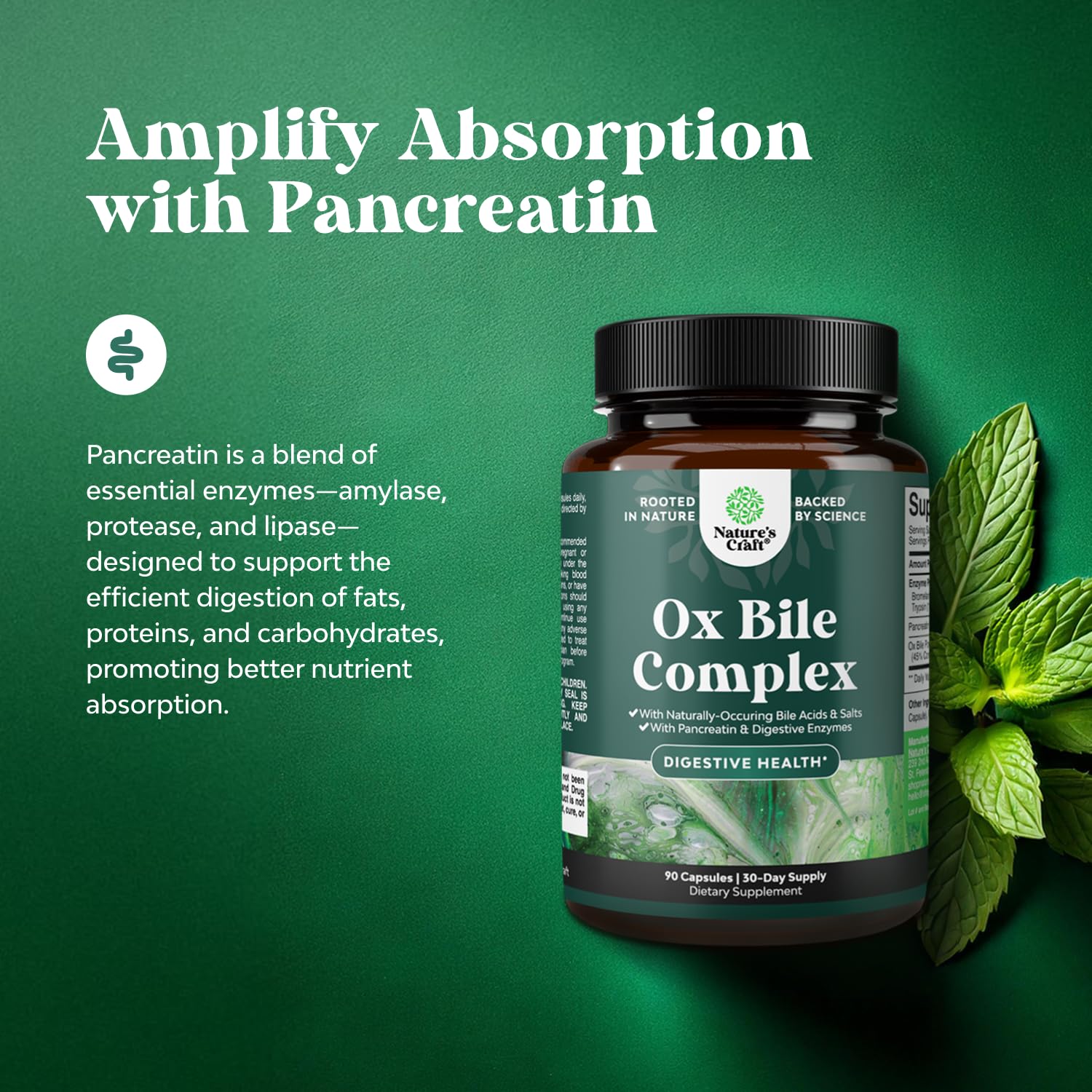 Natures Craft Bromelaine Papain – Action synergique sur la digestion des protéines.