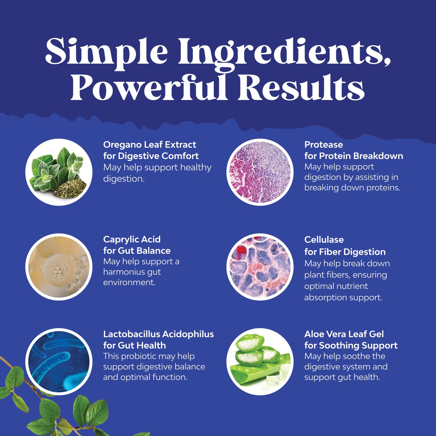 Natures Craft Candi-Clear: probiotiques et prébiotiques pour la flore intestinale