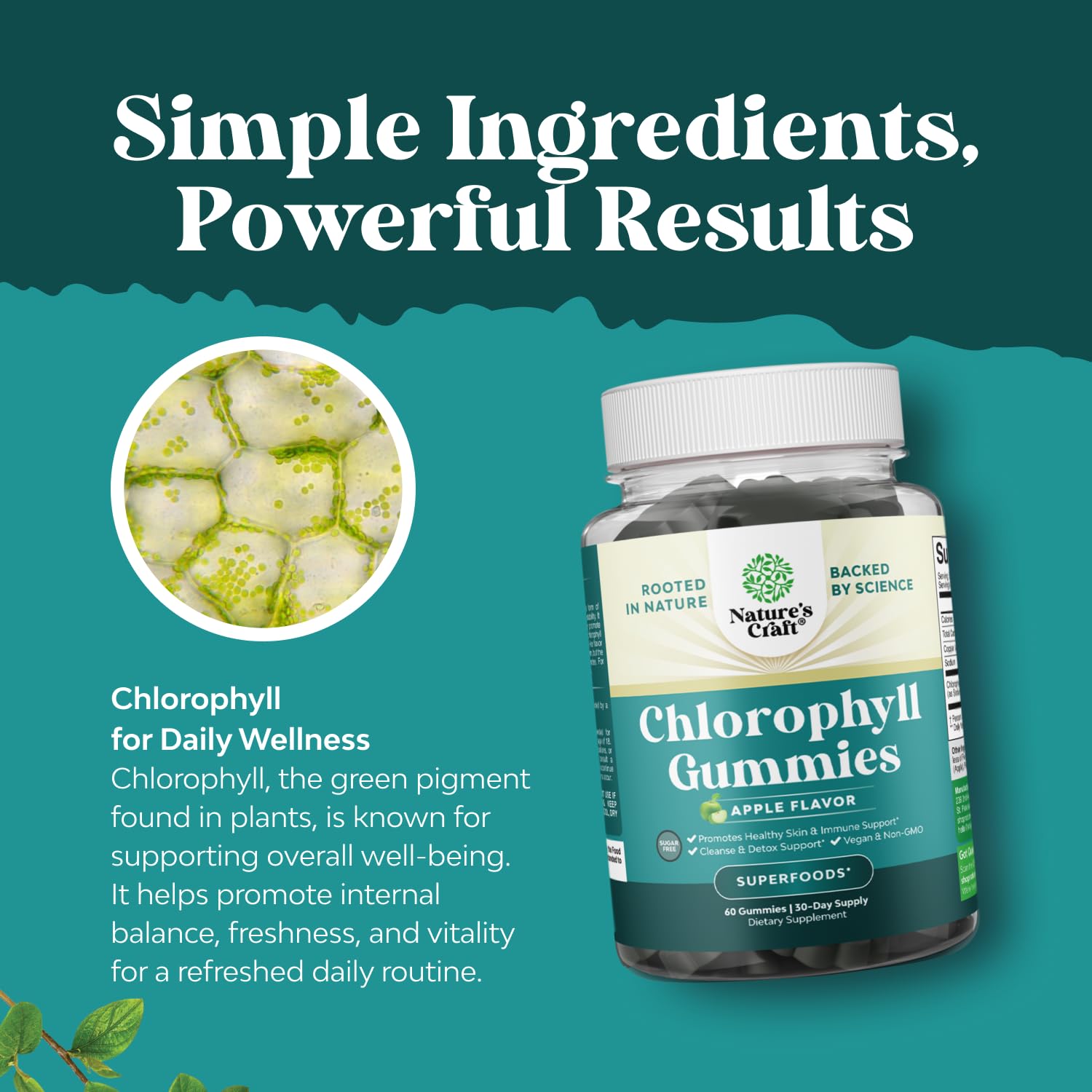 Gummies chlorophylle Natures Craft, présentation produit sur plan de cuisine.