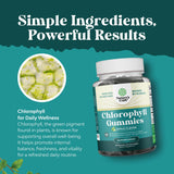 Gummies chlorophylle Natures Craft, présentation produit sur plan de cuisine.