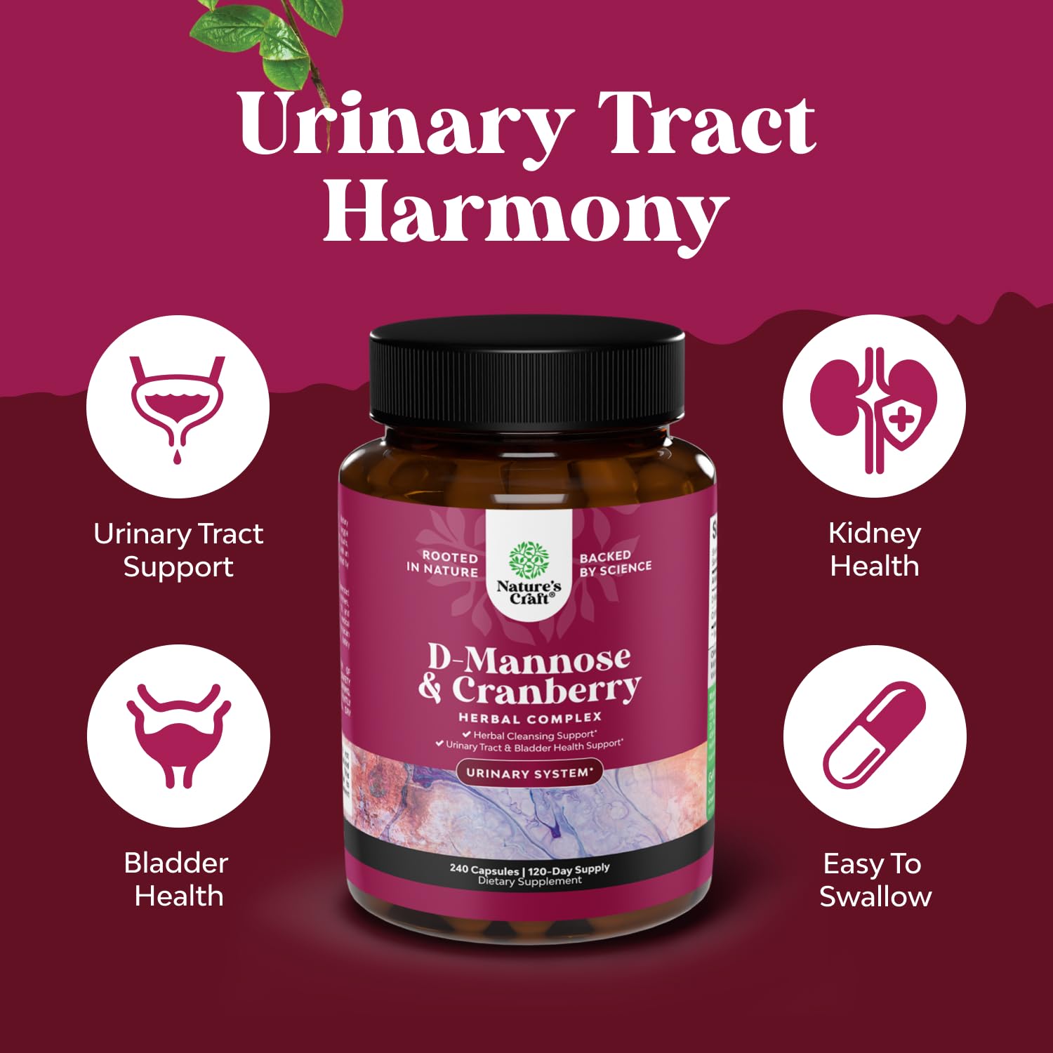 Extrait de cranberry et D-Mannose, bouteille pratique pour routine urinaire