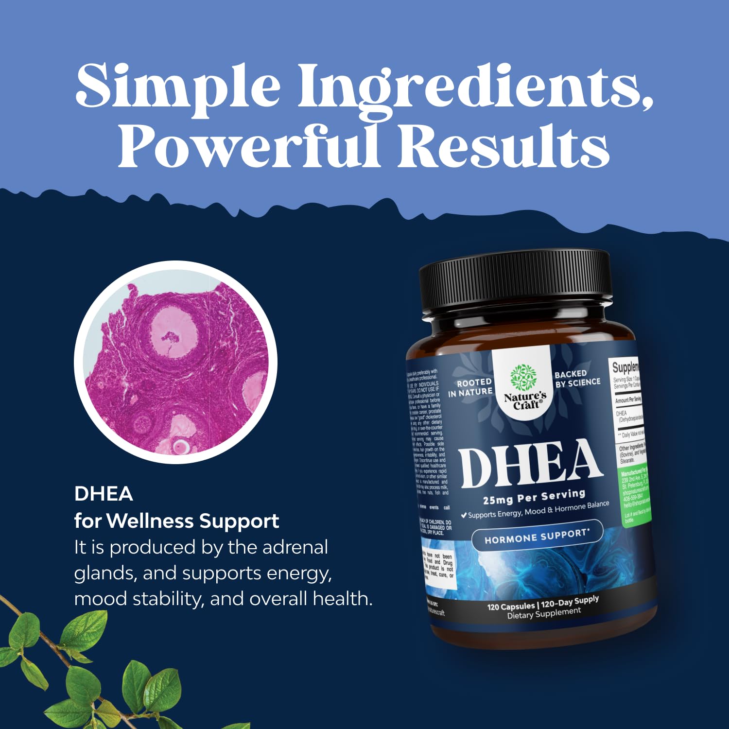 Natures Craft DHEA 25mg — Dosage recommandé pour une prise quotidienne réfléchie.