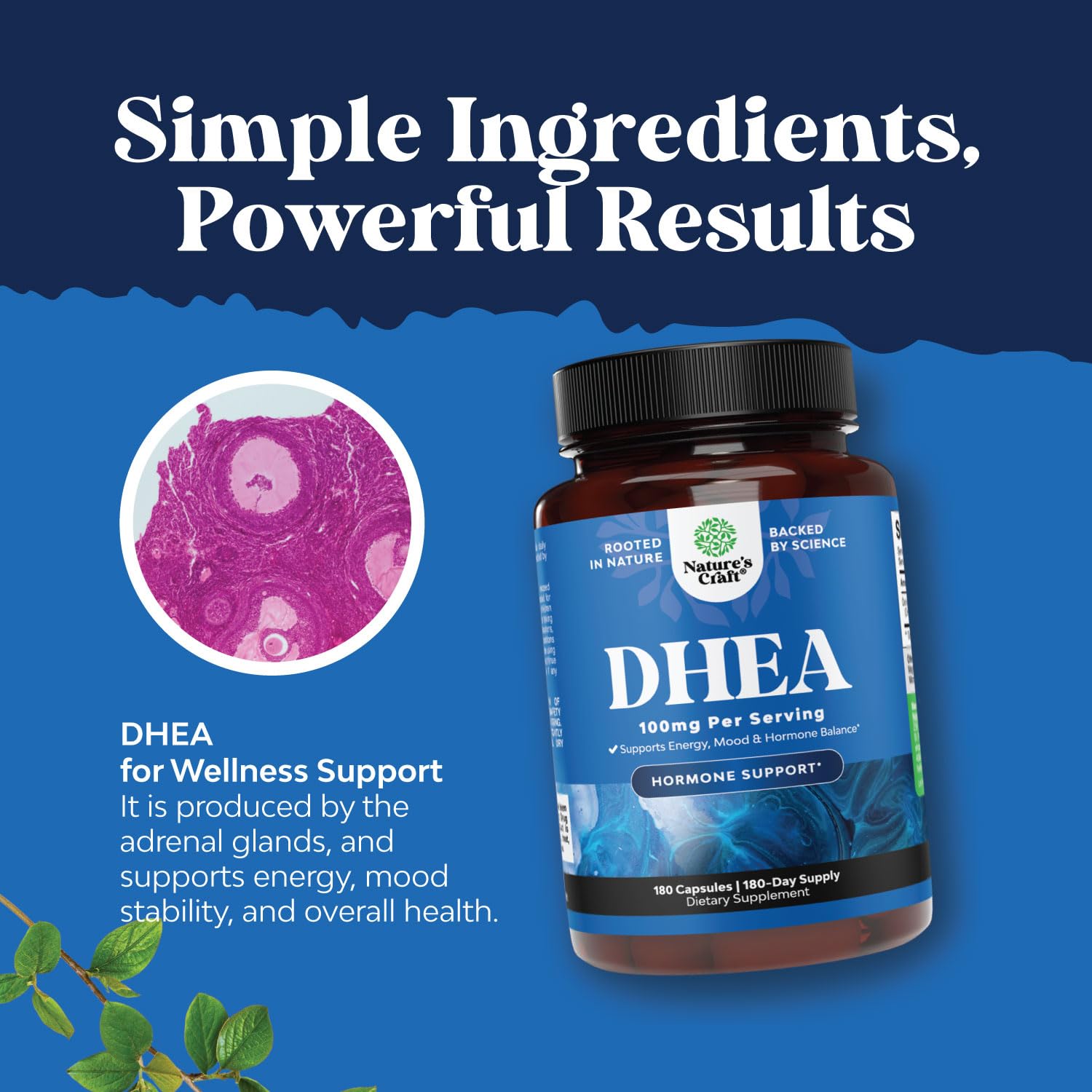 Étiquette produit DHEA Natures Craft, informations essentielles visibles pour l'utilisateur.