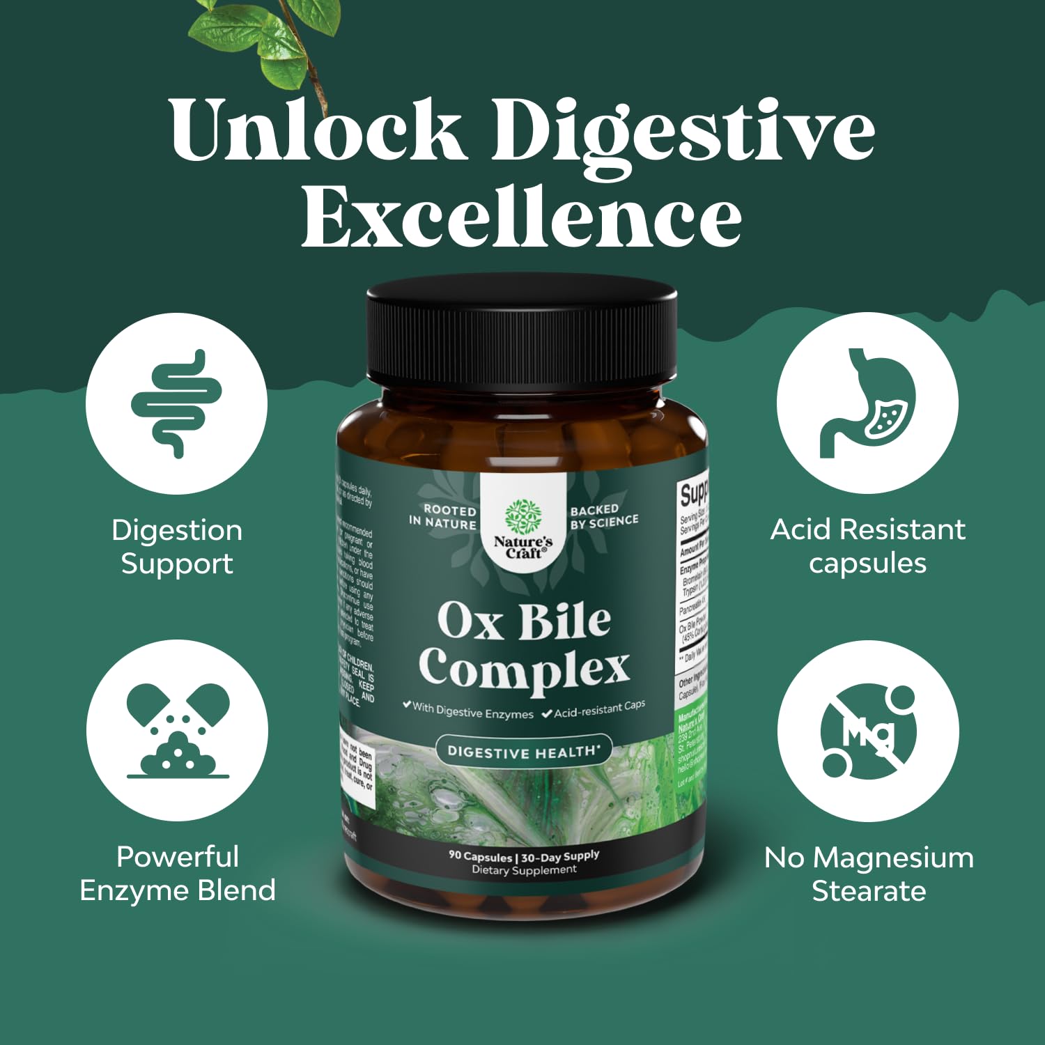 Natures Craft Digestive Enzymes – Utilisation quotidienne pour le confort digestif.