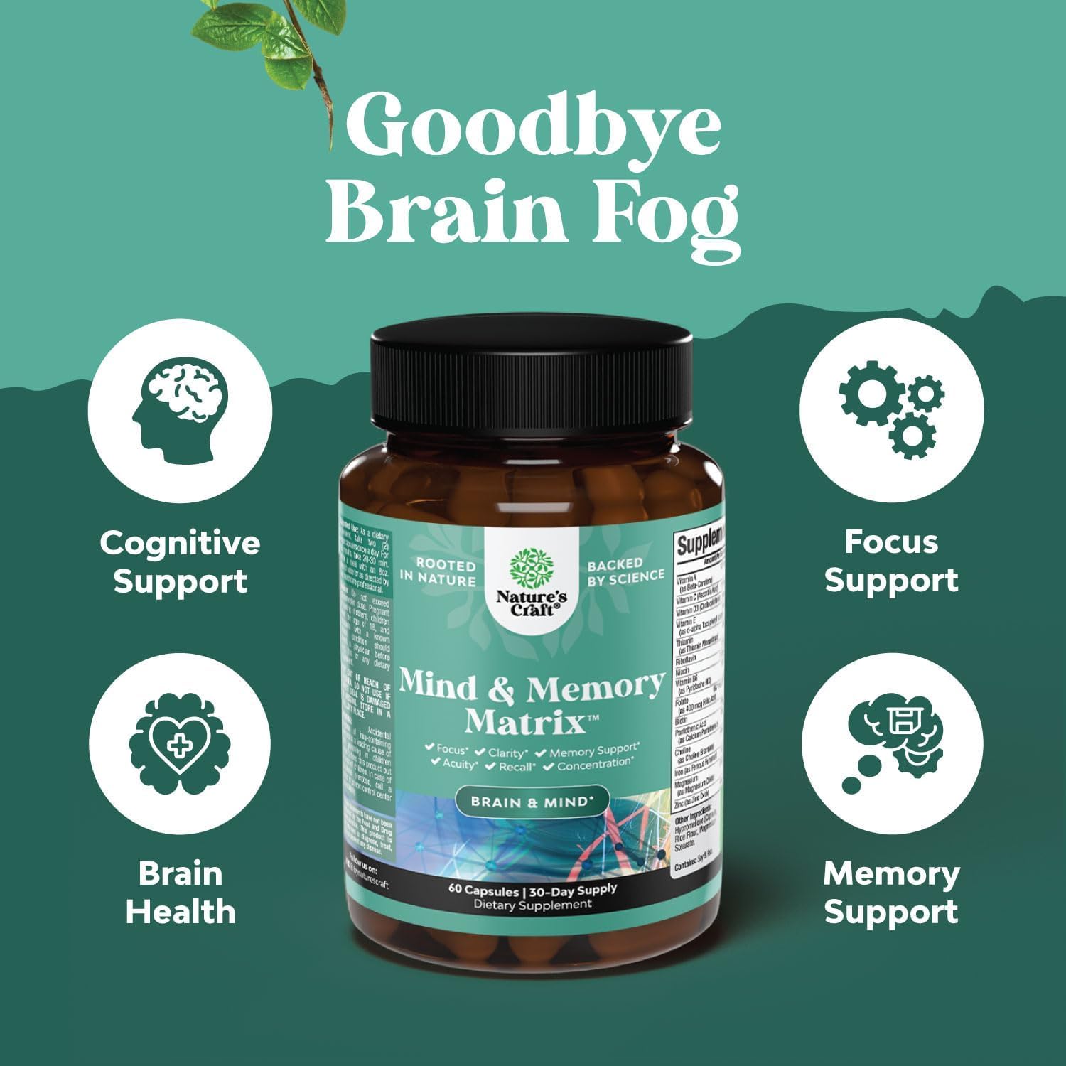 Natures Craft Emballage Cerveau – Boîte attrayante prête à l’emploi pour les efforts cognitifs.