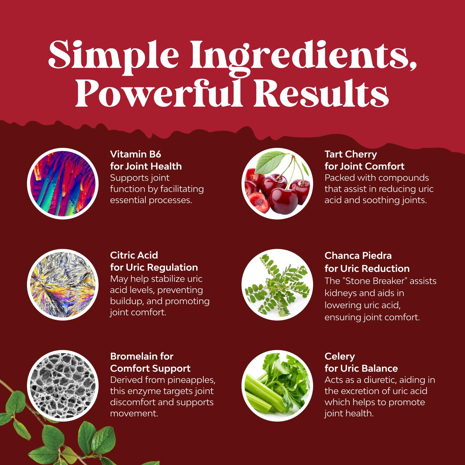 Étiquette Nature's Craft sur l'emballage, information claire et dosage recommandé.