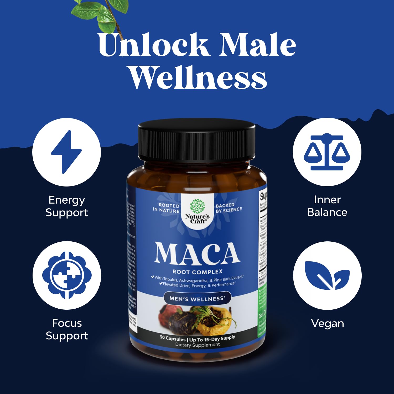 Extrait d'écorce de pin Nature's Craft pour la vitalité.