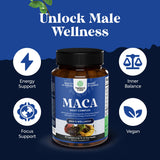 Extrait d'écorce de pin Nature's Craft pour la vitalité.