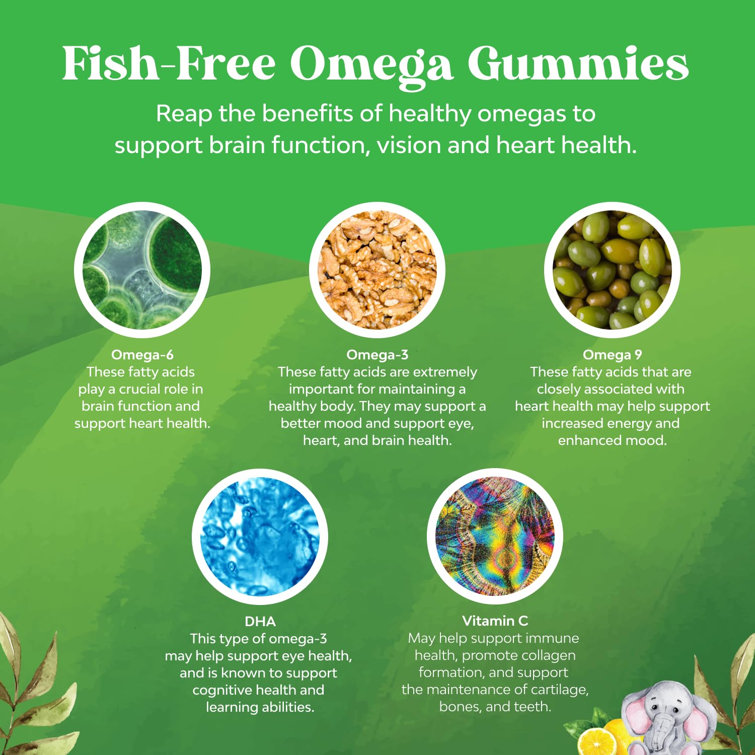 Gommes DHA Natures Craft pour enfants, texture douce et agréable.