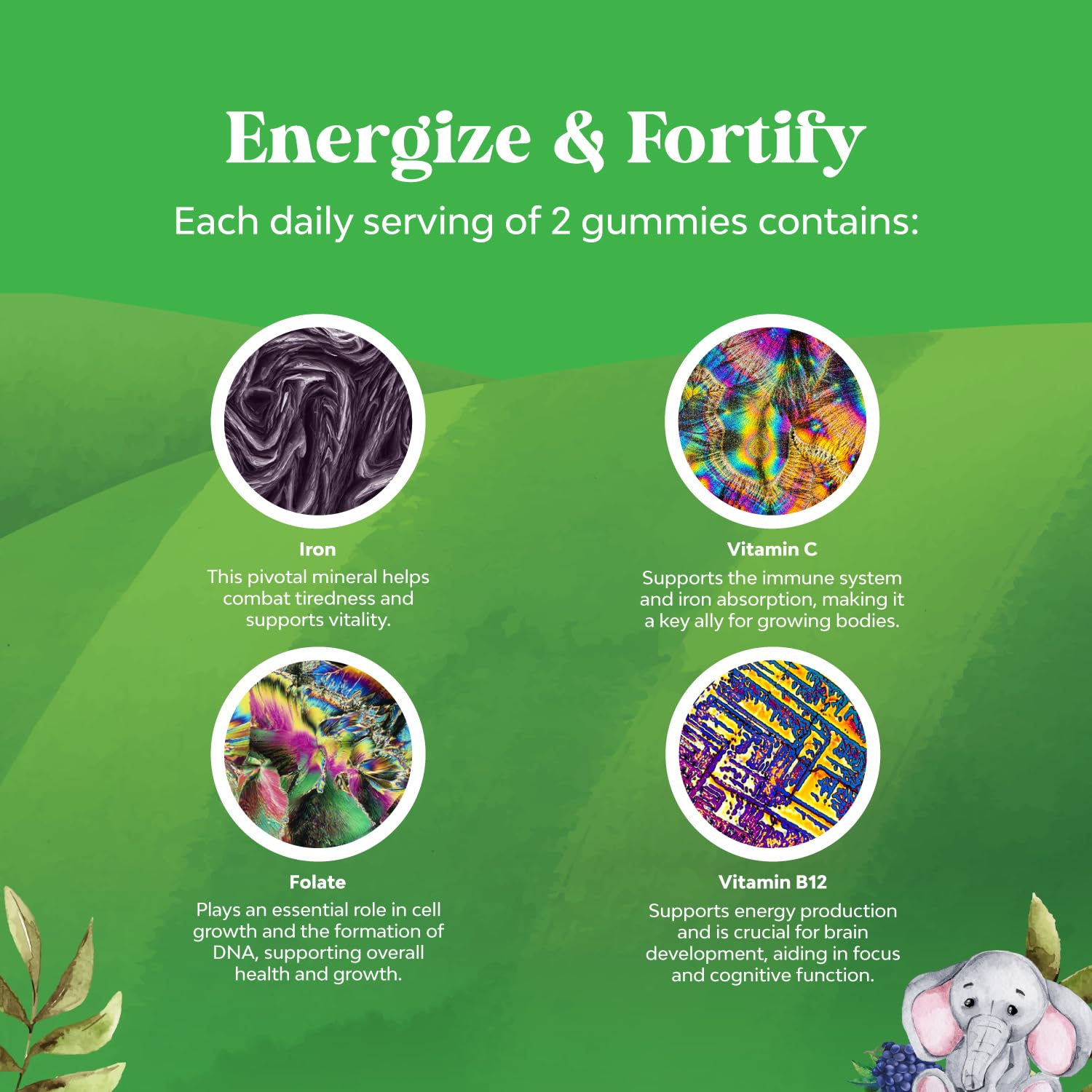 Gommes fer-enfants-acide-folique par Natures Craft, nutriments essentiels pour le développement.