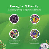 Gommes fer-enfants-acide-folique par Natures Craft, nutriments essentiels pour le développement.