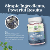 Gommes zinc 50 mg non-OGM – Qualité et sécurité.