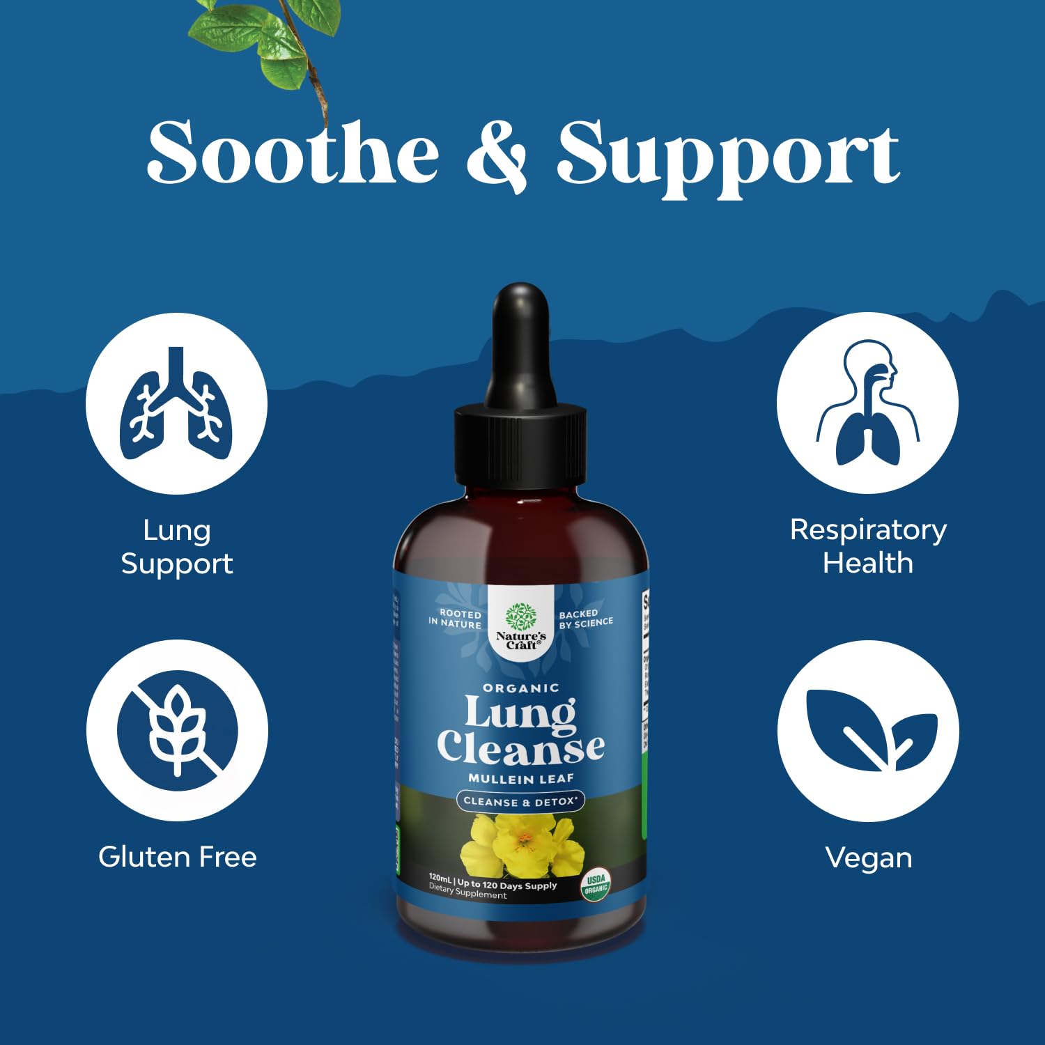 Molene Natures Craft sous-langue, absorption rapide.