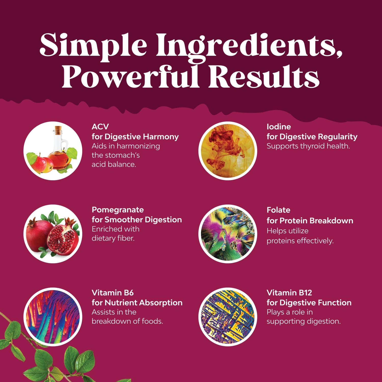 Vitamines B6 et B12 incluses soutien quotidien