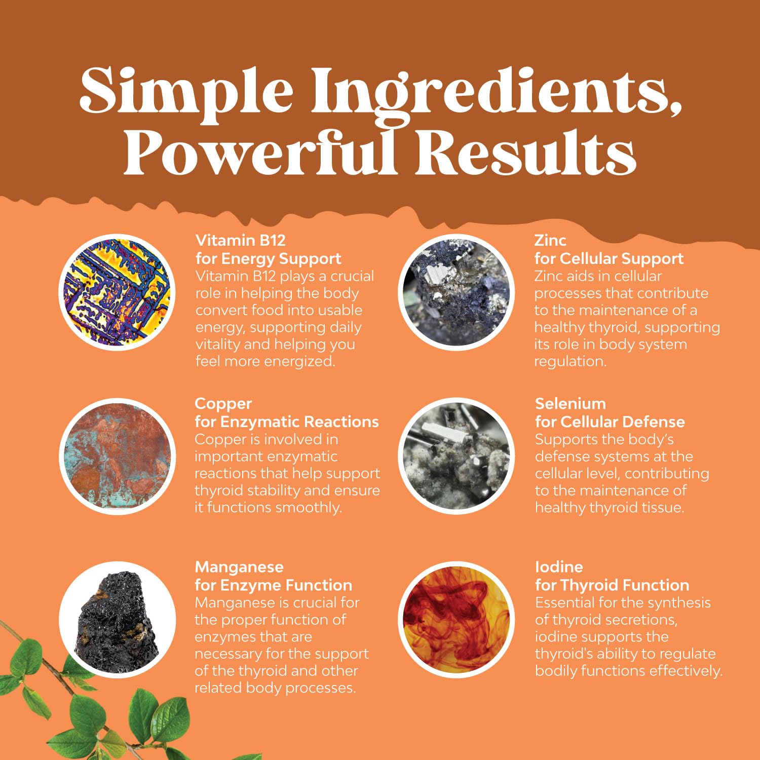 Gommes Natures Craft Thyroid entourées d'ingrédients naturels, sans colorants artificiels