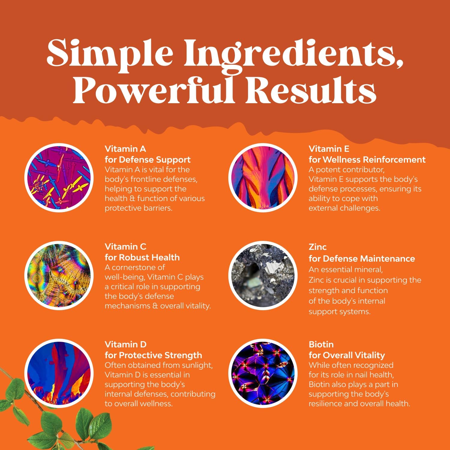 Nature's Craft gélifiés zinc — soutien cheveux et immunité