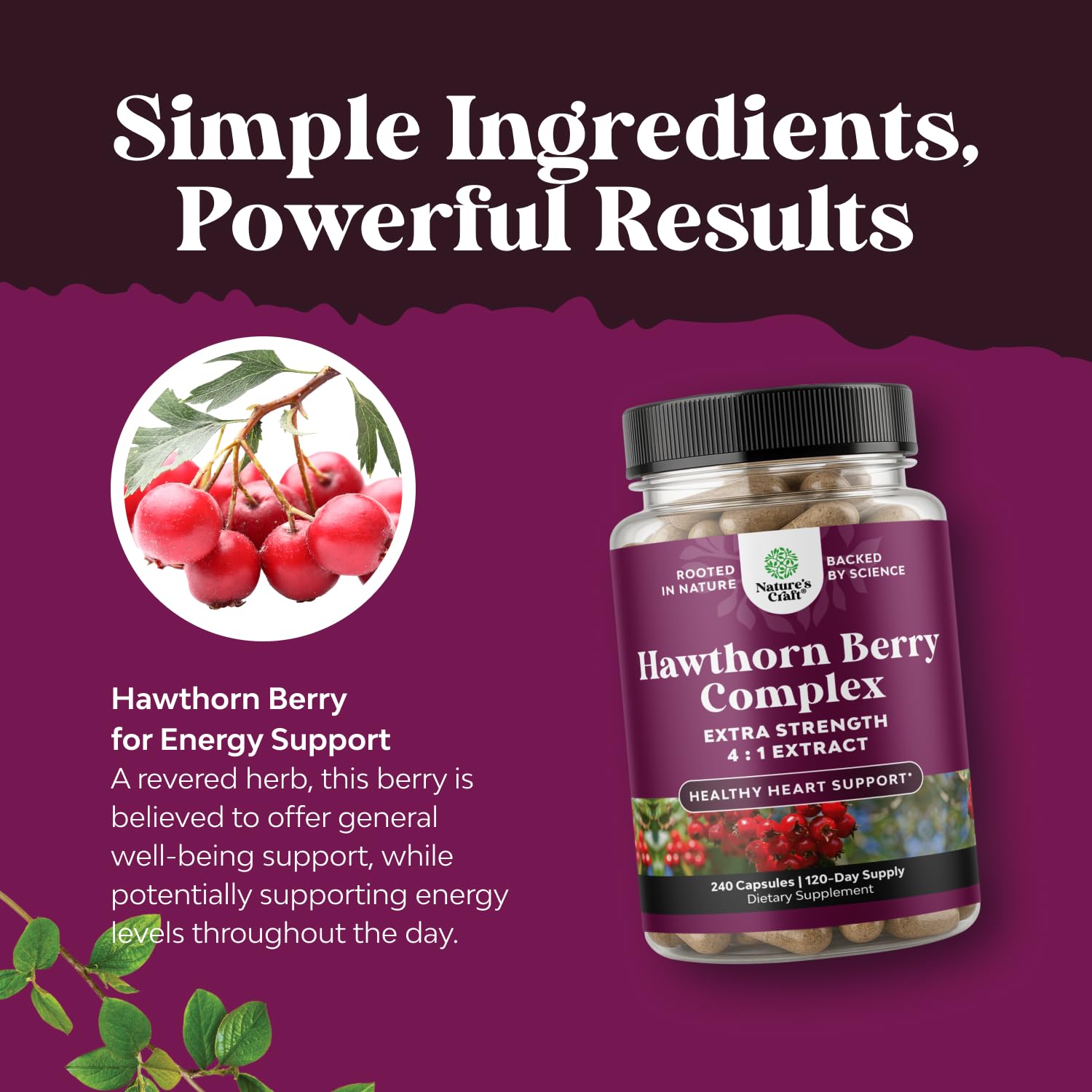 Capsules Hawthorn 4:1 Natures Craft, soutien potentiel pour l'équilibre.