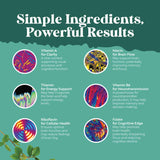 Natures Craft Ingrédients – Gros plan sur DMAE et Huperzine A soutenant le cerveau.