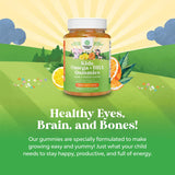 Gommes sans poisson Natures Craft, pour enfants, soutien potentiel au développement cérébral.