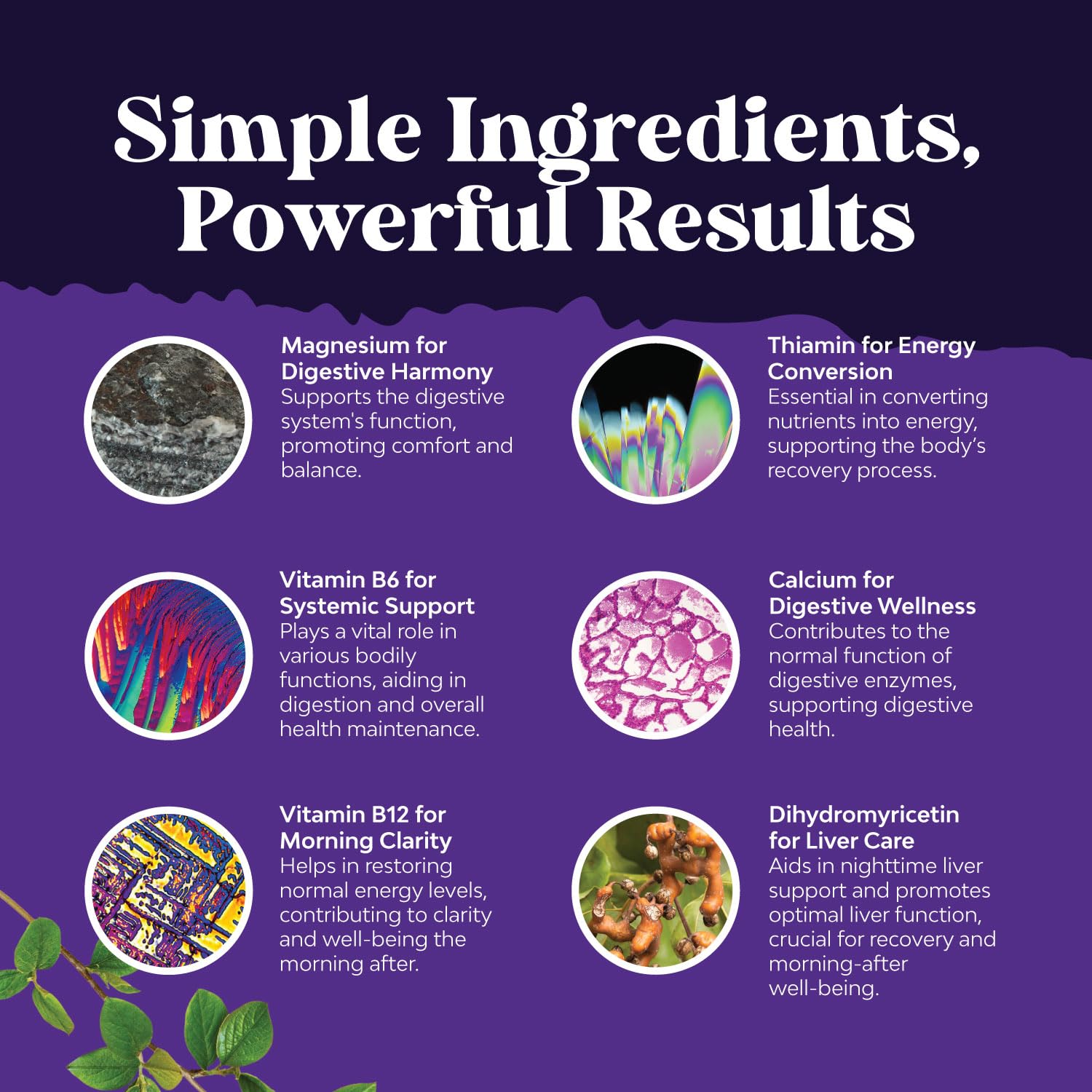 Natures Craft Nighttime Detox – routine nocturne avec pilules et verre d'eau.