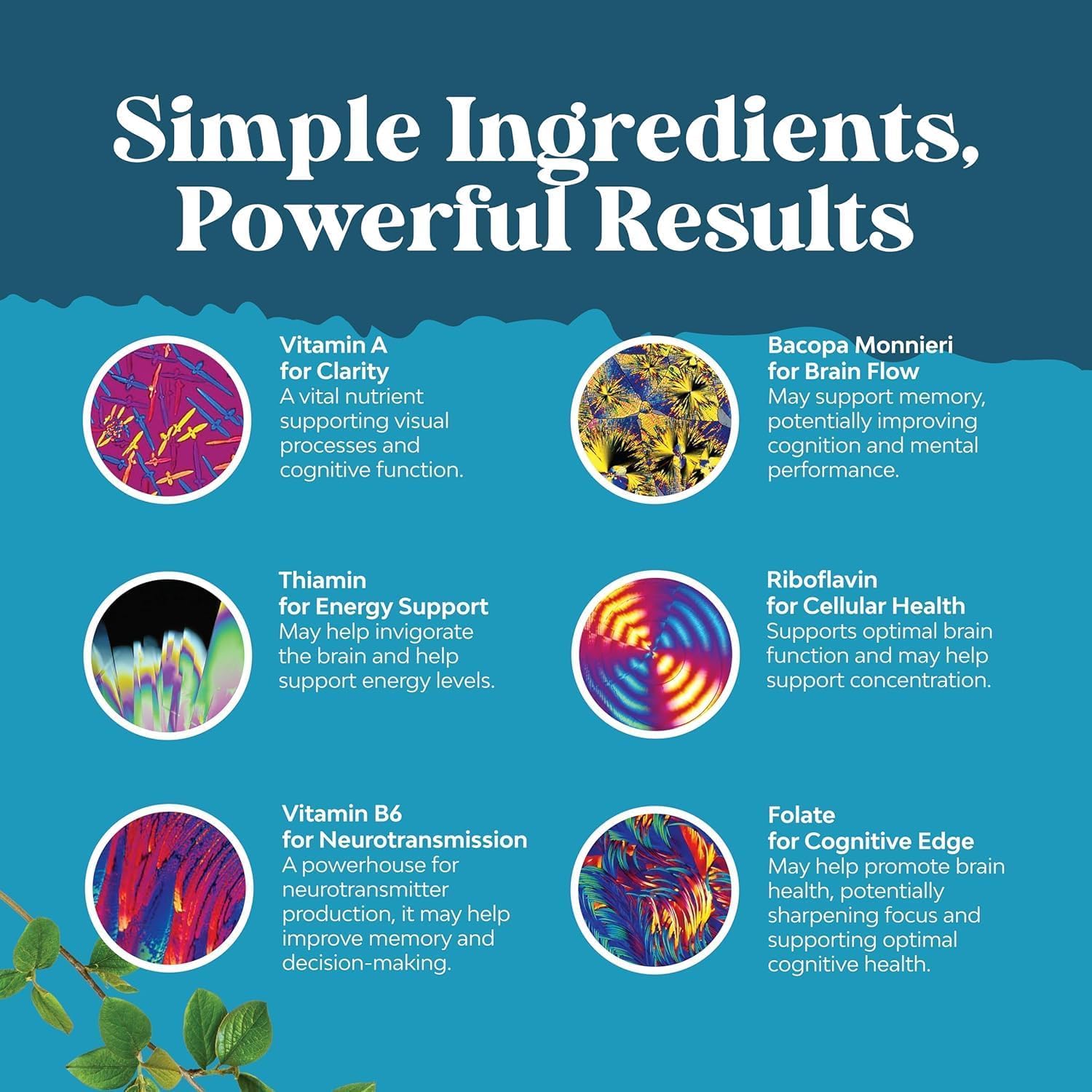 Natures Craft Nootropique – gros plan sur capsules; usage quotidien recommandé pour concentration.