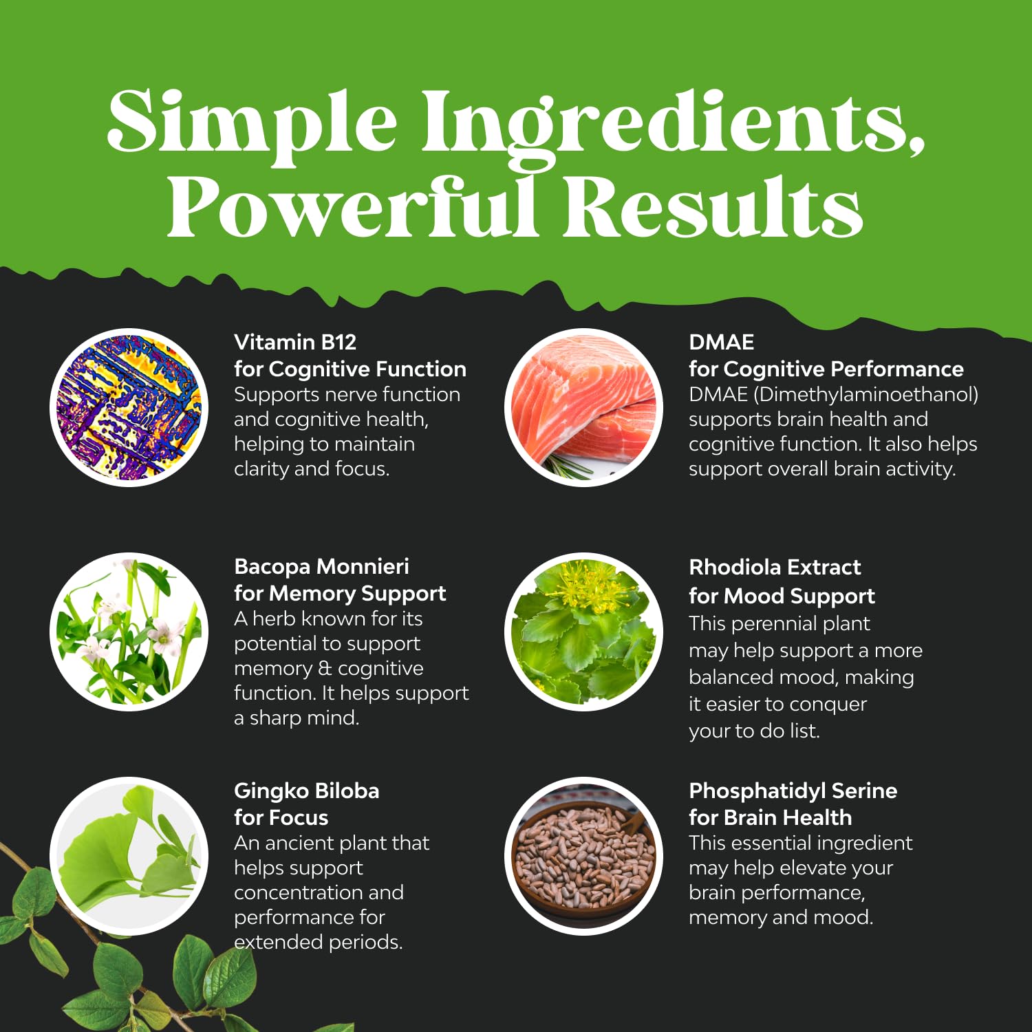 Natures Craft Nootropique Mémoire – bacopa et rhodiole pour le focus