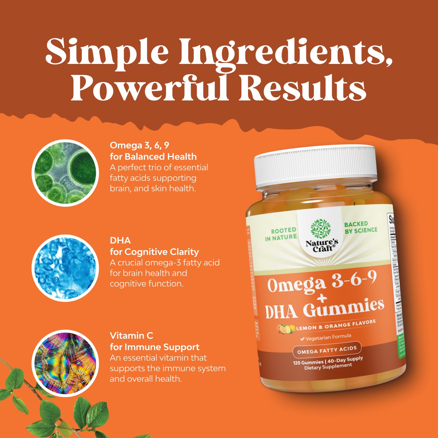 Nature's Craft Omega 3 Gummies - ingrédients végétariens, sans poisson