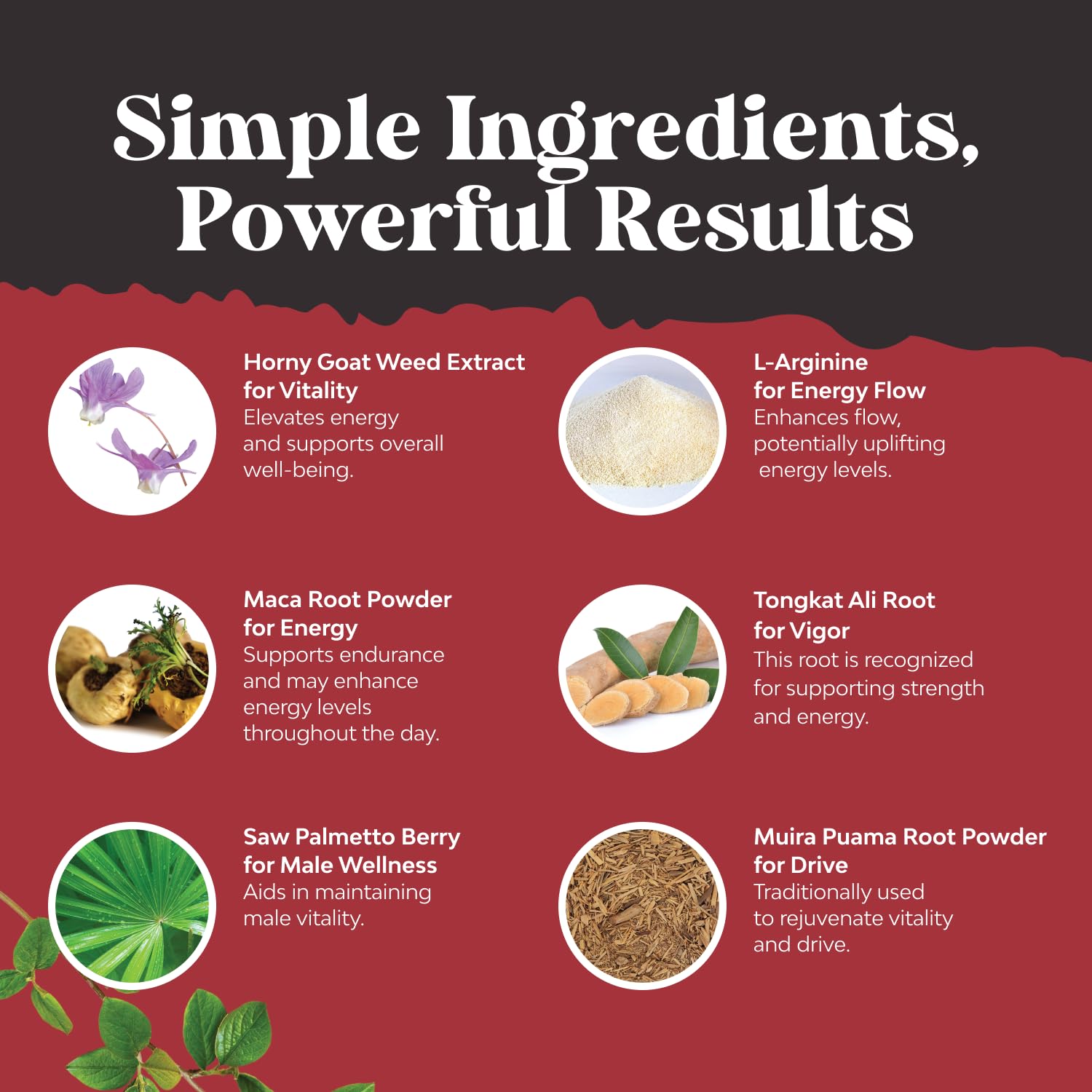 Natures Craft panax ginseng extrait – stimulant potentiel pour l'énergie quotidienne.