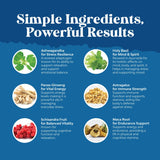 Nature's Craft - Racines Panax Ginseng, soutien mental quotidien