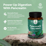 Natures Craft Pancreatin: étiquette et emballage, ingrédients non OGM et traçabilité assurée.