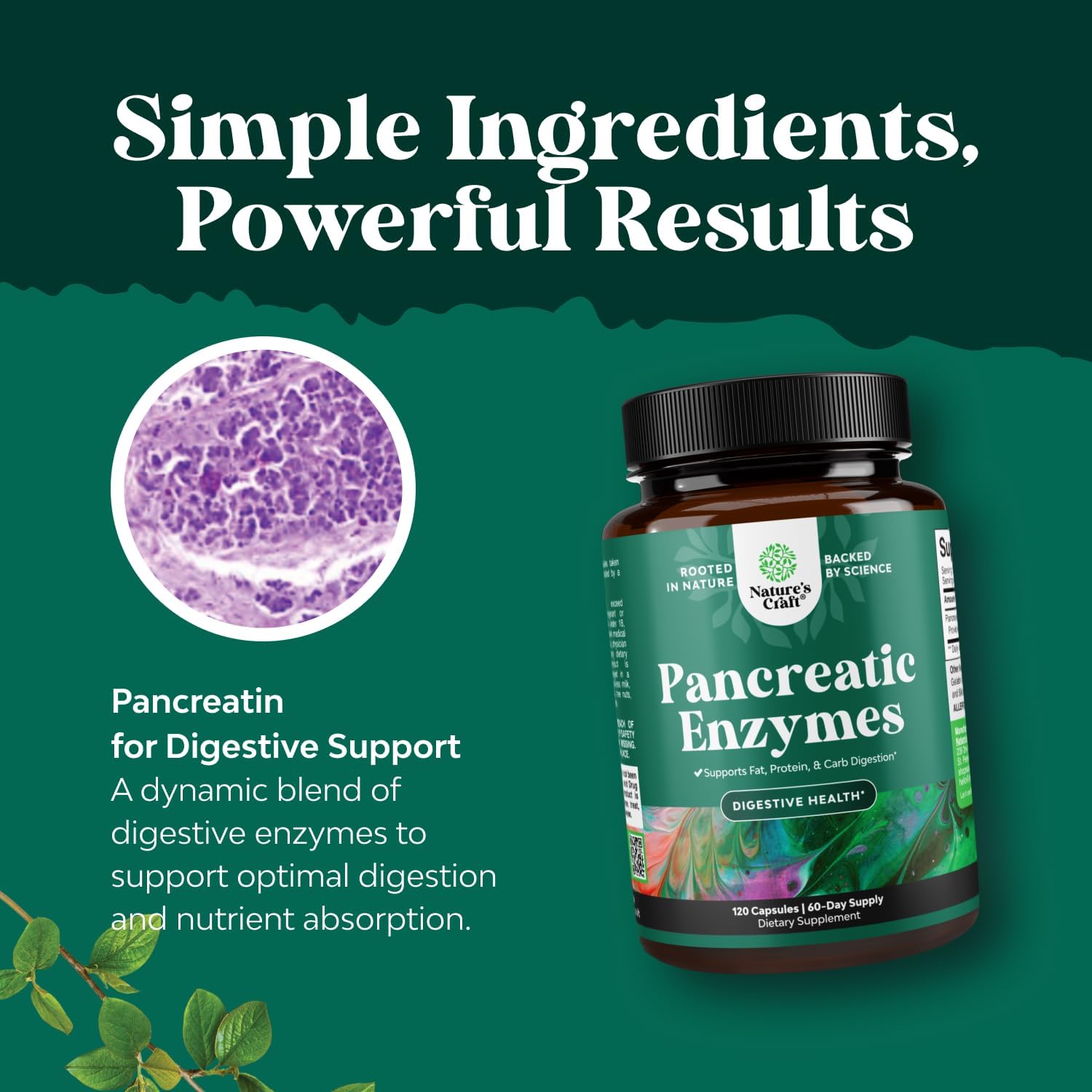 Natures Craft Pancreatin: flacon fiable, destiné à hommes et femmes soucieux de digestion.