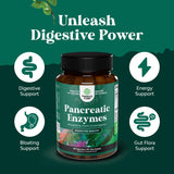 Natures Craft Pancreatine Digestive – lipase pour la digestion des graisses après repas