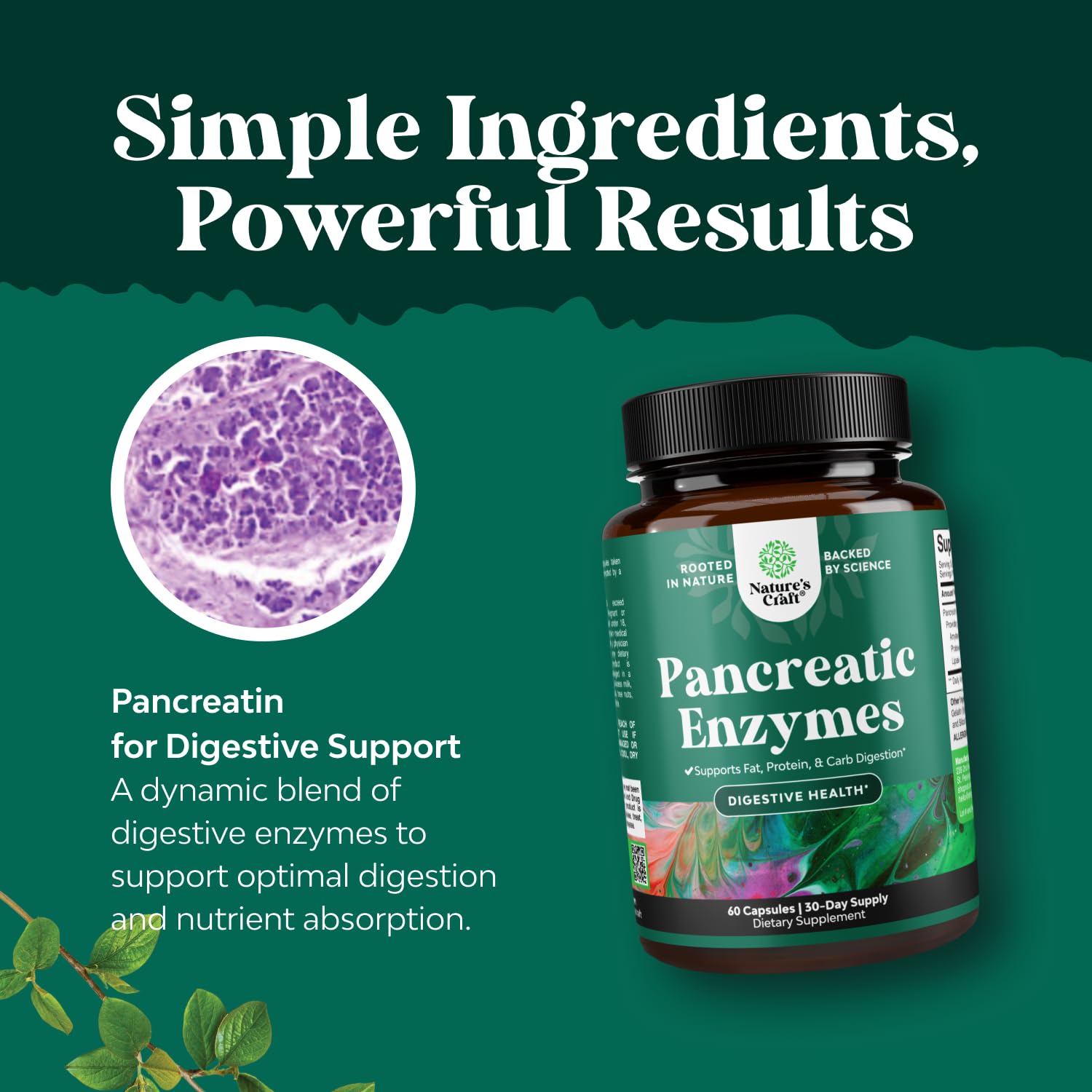 Natures Craft Pancreatine Digestive – protéase pour aider la décomposition des protéines