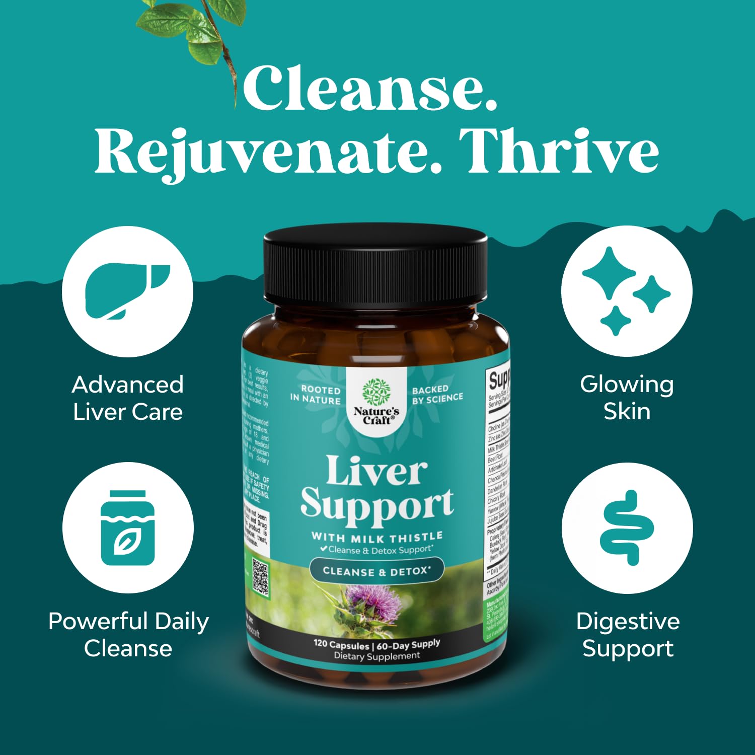 Natures Craft pissenlit extrait: capsules pour drainage naturel