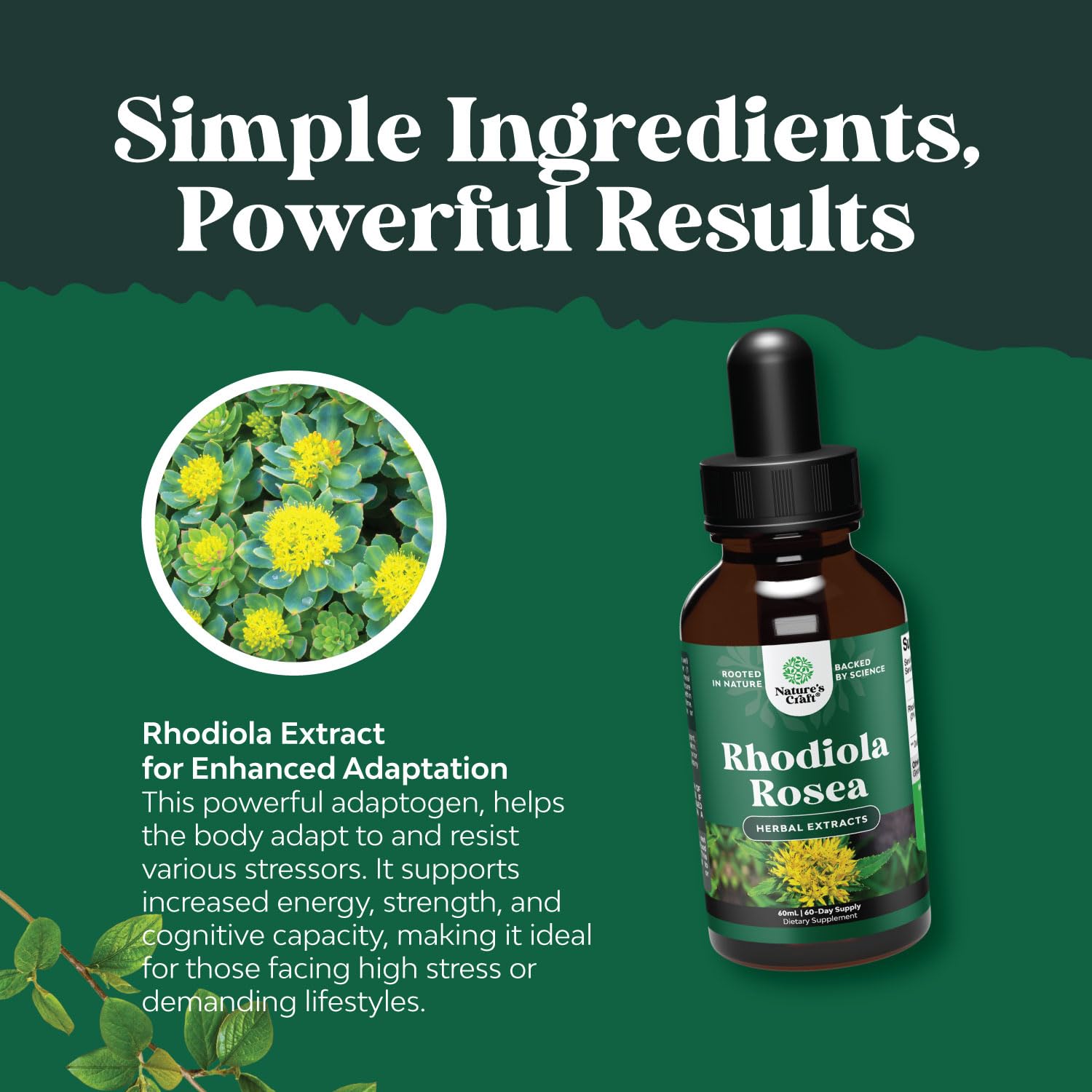 Étiquetage vegan et sans OGM de Natures Craft Rhodiola.