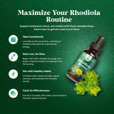 Teinture Rhodiola en flacon ambré, format liquide prêt à mélanger.