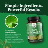 Natures Craft Saw Palmetto ingrédients naturels, stérols et flavonoïdes