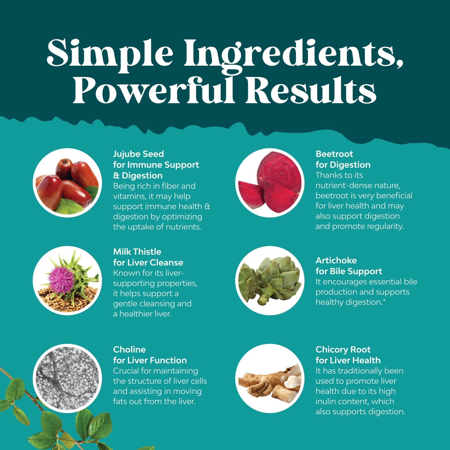 Natures Craft Capsules silymarine-extrait: soutien du foie et confort digestif.