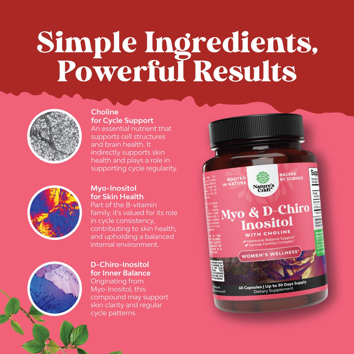 Natures Craft soutien cycle mensuel, capsules favorisant l'équilibre potentiel