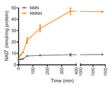 Nature's Fusions NMNH – utilisation quotidienne potentielle pour l’énergie et la vitalité.