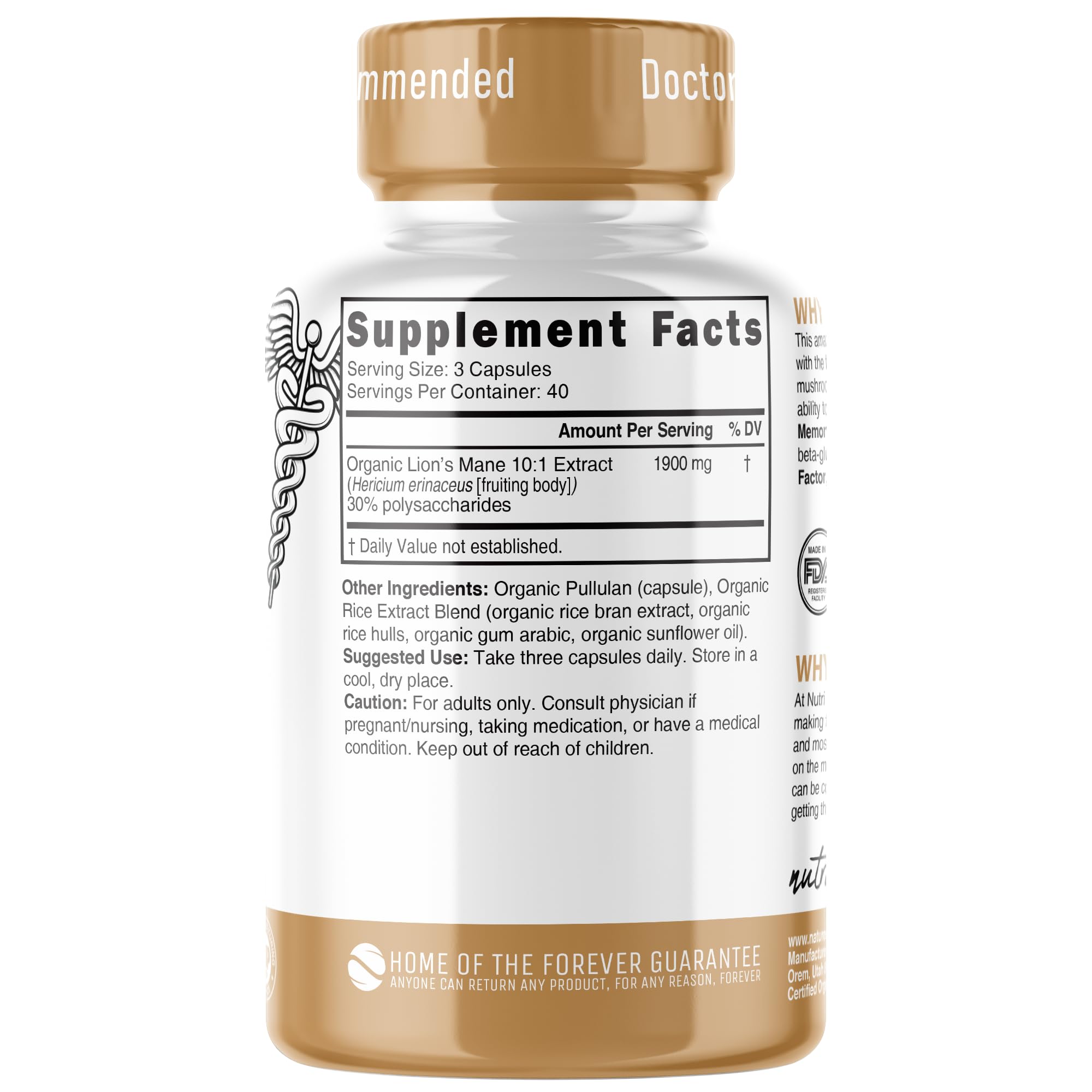 Extrait dual 10:1 Nutri Lions Mane, formulation puissante et concentration élevée.