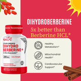 Nature's Fusions Dihydroberberine – Tests en laboratoire indépendants: pureté et qualité.
