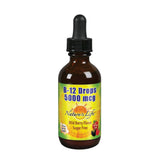 Nature's Life B-12 Drops: bouteille avec pipette pour une administration pratique