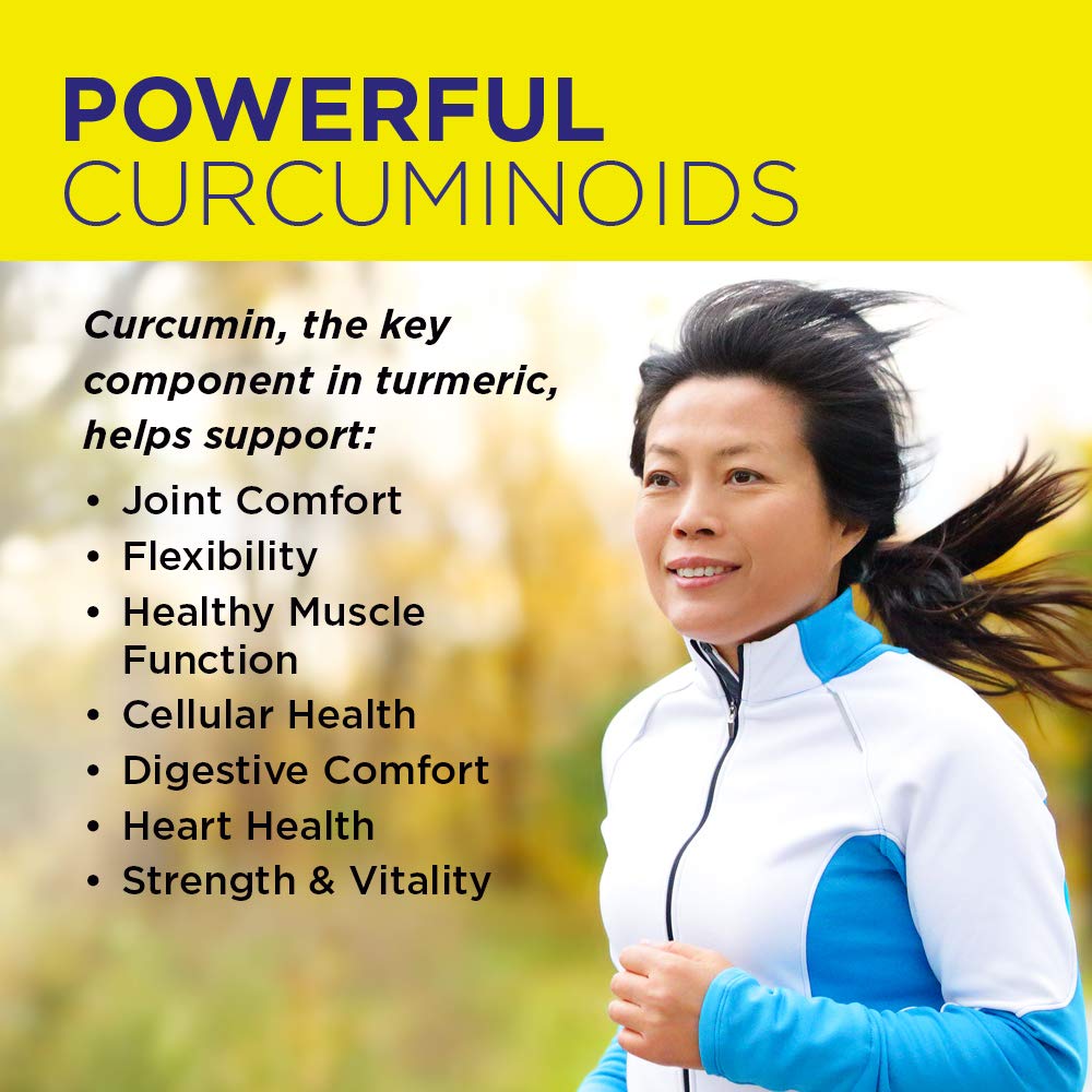 Nature's Life Turmeric Ginger Joint Ease – boite pratique, formulation sans OGM pour un usage quotidien.