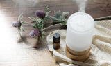 Nature's Note Dragons Blood bougie parfumee chaleureuse.