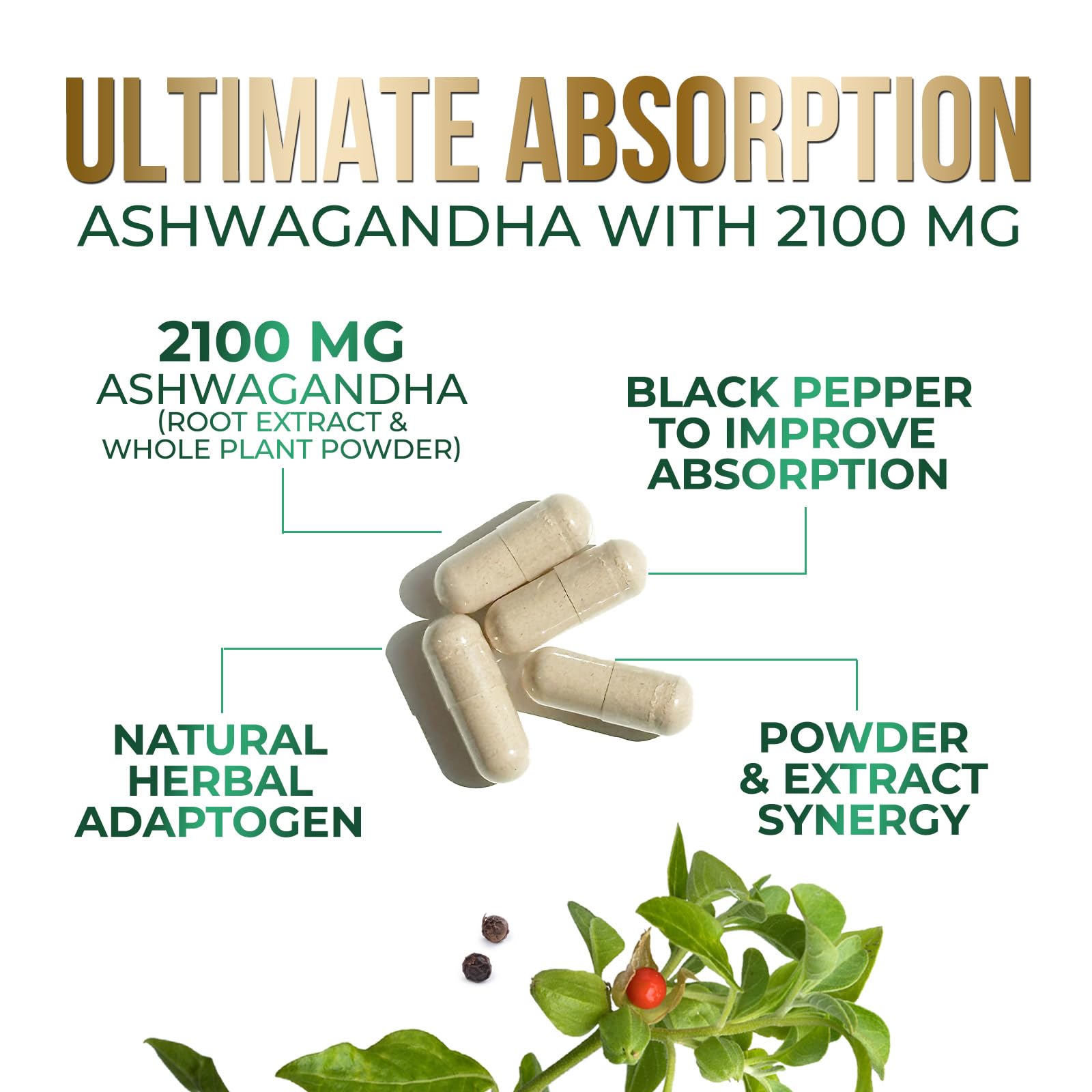 Capsules d'Ashwagandha avec poivre noir pour meilleure absorption.